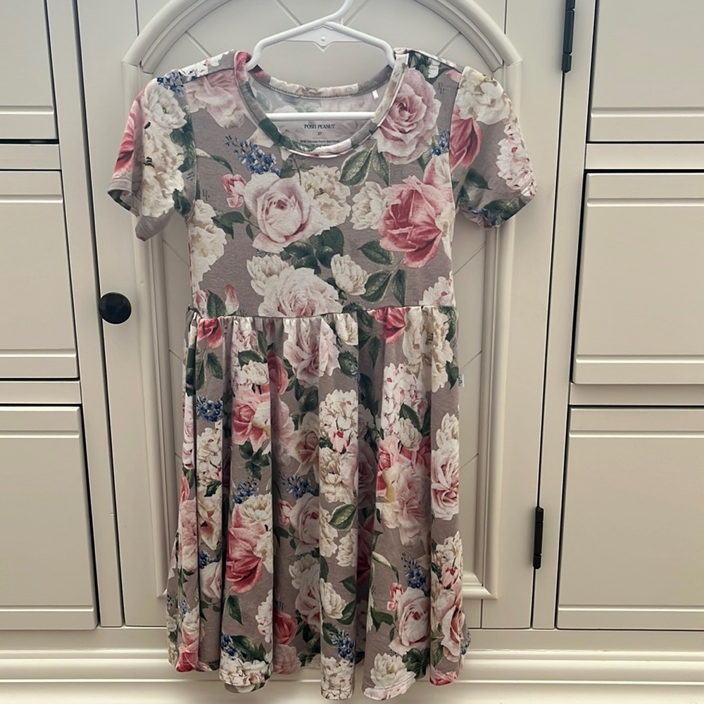 3T Posh Peanut Twirl dress “Cassie”